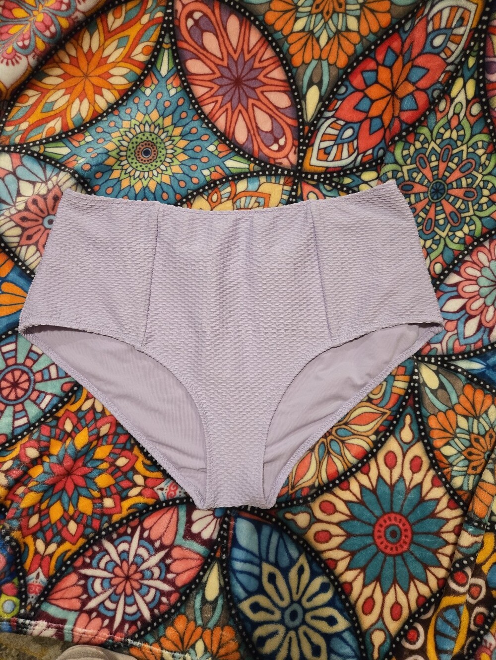 Aerie High-Waist Lavender Textured Bikini Bottoms LARGE